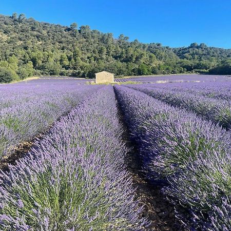 דירות Gréoux-les-Bains Coeur De Provence מראה חיצוני תמונה